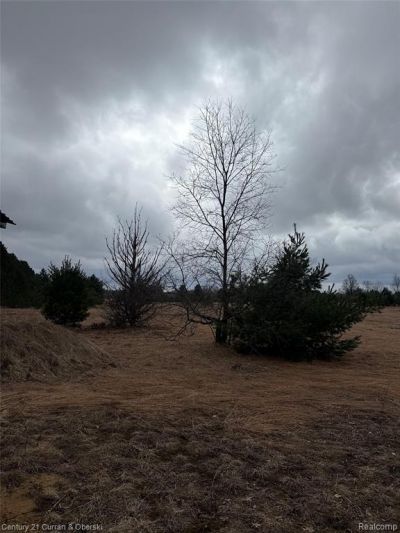 00000 SW Vroom Rd SW , Boardman Township, MI 49680 Main Photo