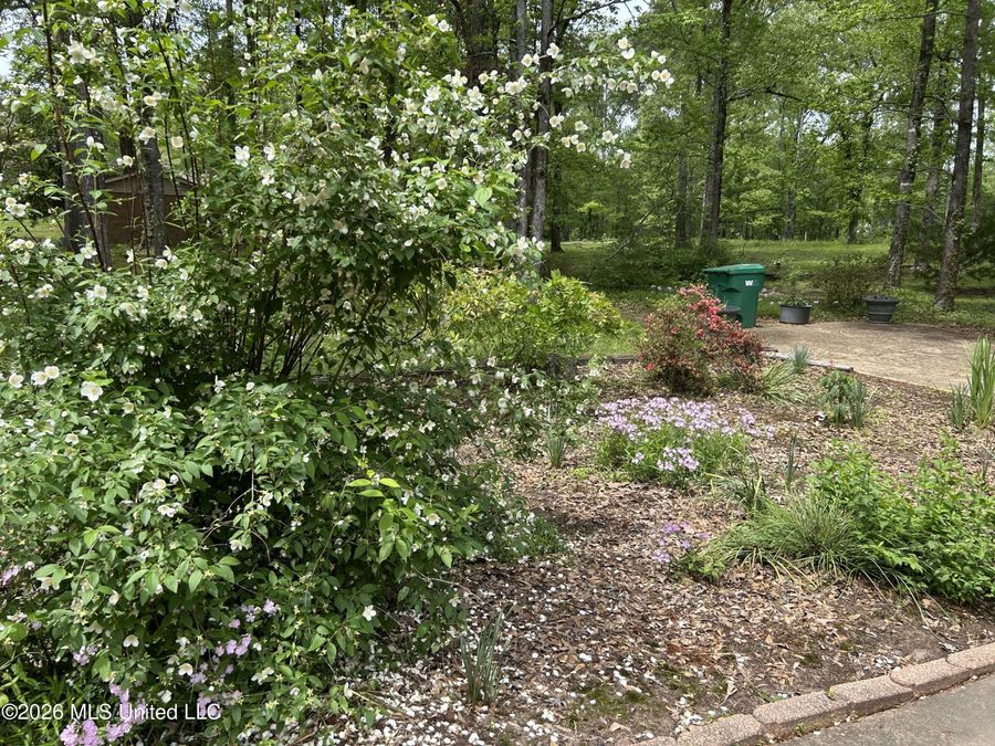 Property Image 58