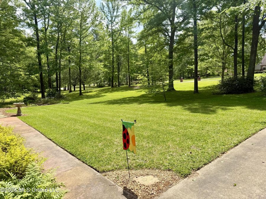 Property Image 59