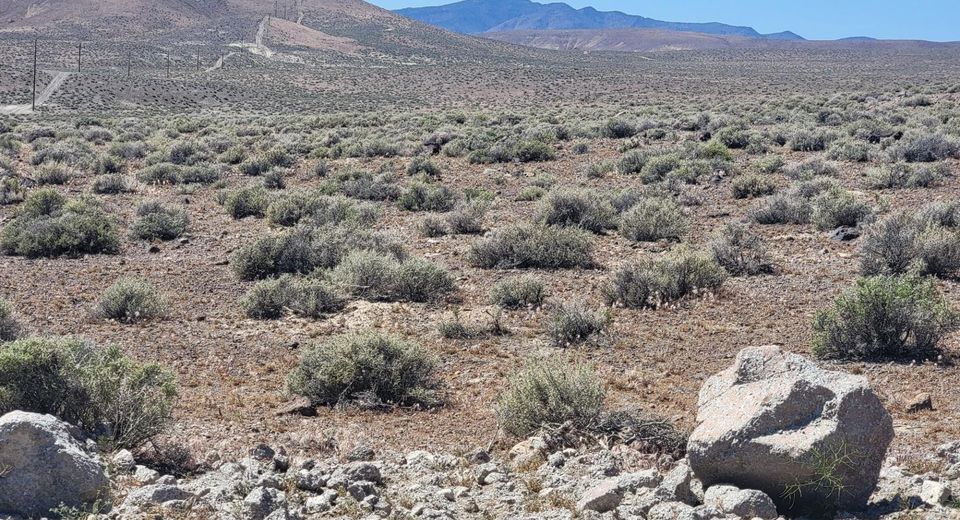 1650 Sky View Drive, Silver Springs, NV 89429 Photo