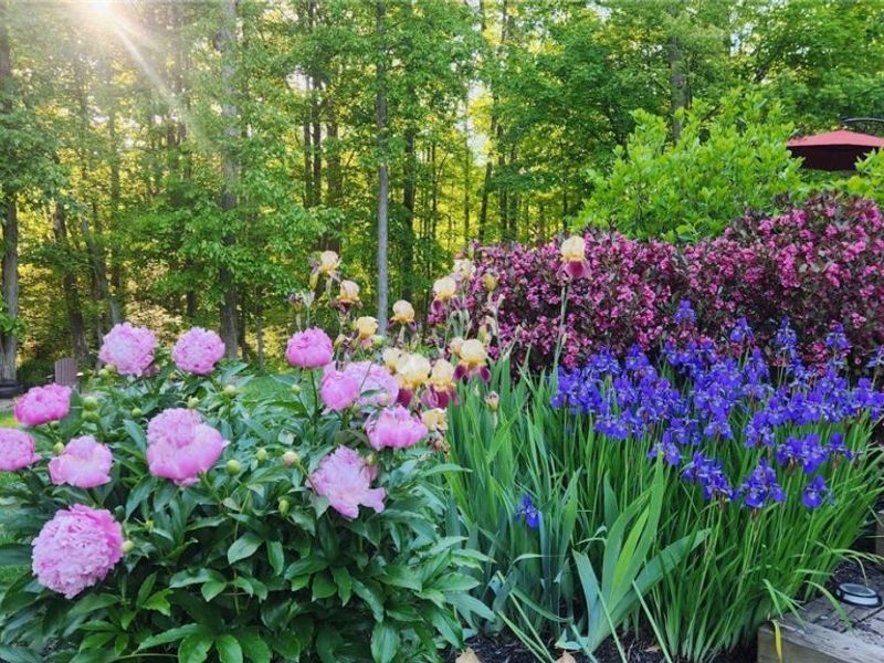 7306 Granby Drive, Hudson, OH 44236 Photo 40