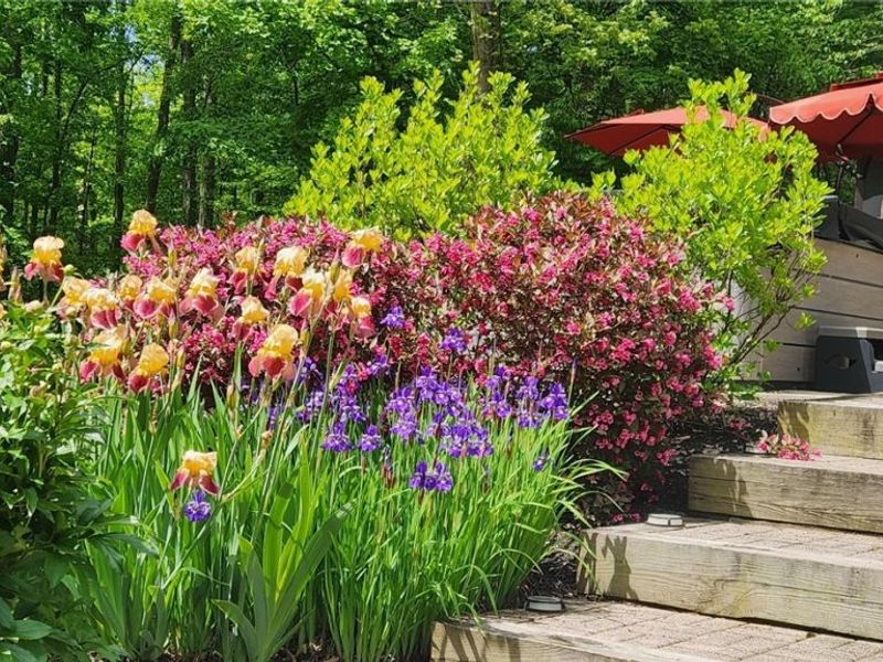 7306 Granby Drive, Hudson, OH 44236 Photo 41