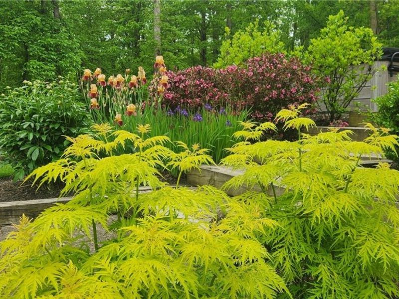 7306 Granby Drive, Hudson, OH 44236 Photo 43