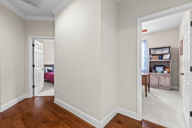 30201 Hackney Loop, Mount Dora, FL 32757 Photo