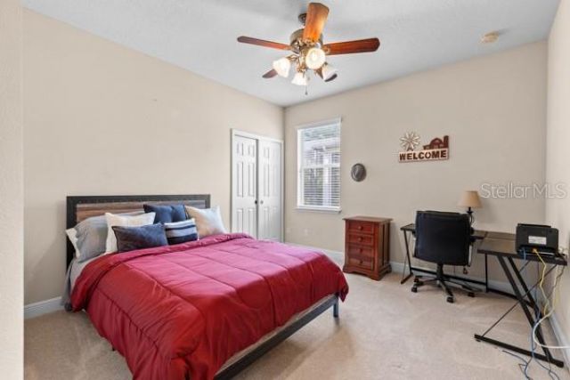 30201 Hackney Loop, Mount Dora, FL 32757 Photo