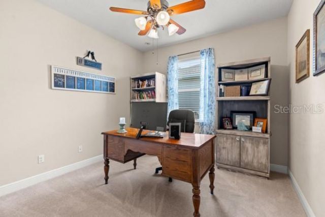 30201 Hackney Loop, Mount Dora, FL 32757 Photo