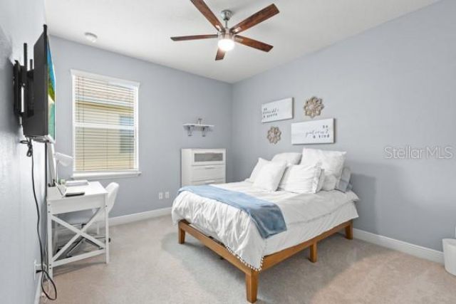 30201 Hackney Loop, Mount Dora, FL 32757 Photo