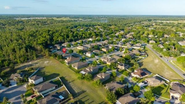 30201 Hackney Loop, Mount Dora, FL 32757 Photo