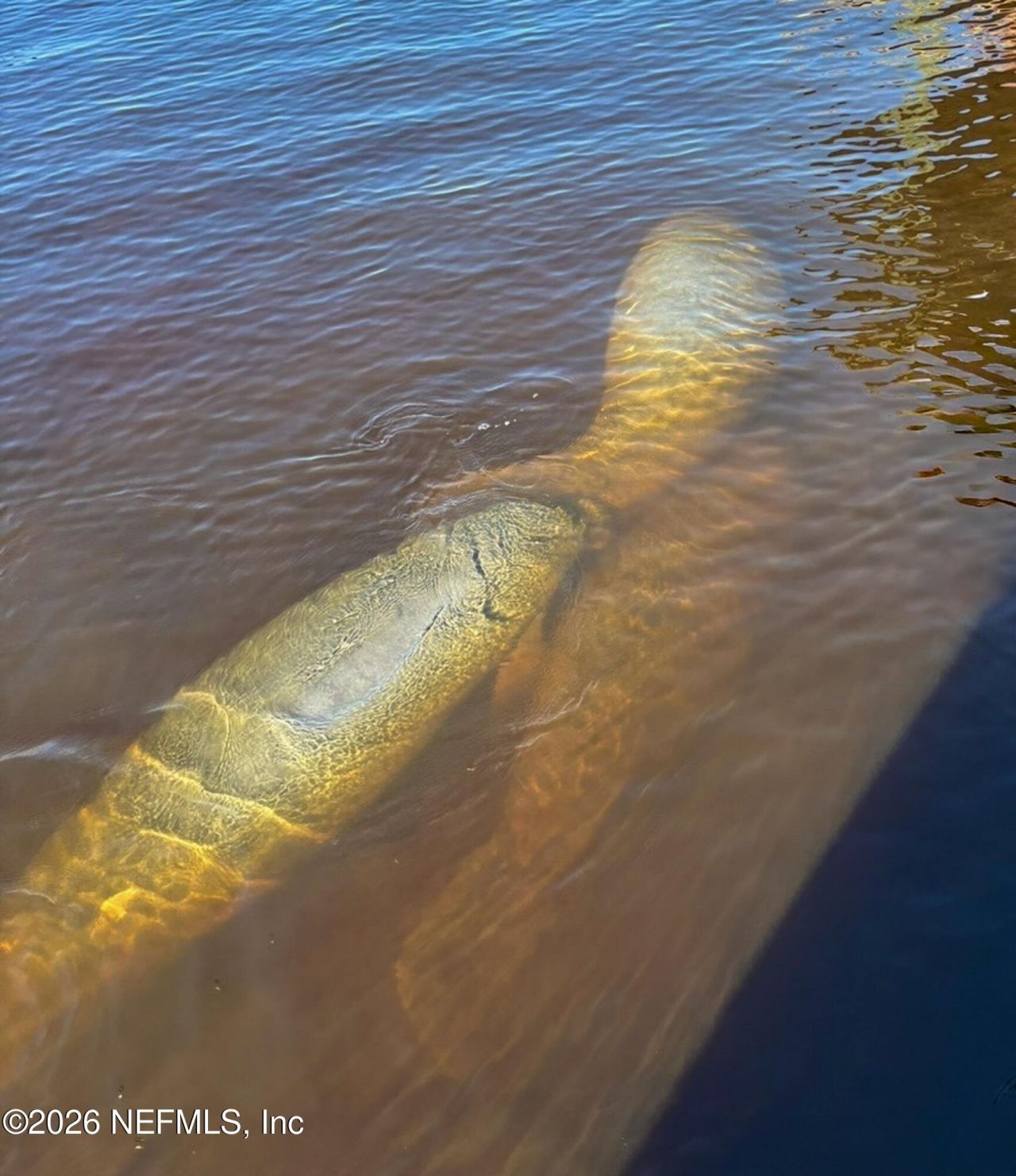 291 Hickory Acres Lane, Saint Johns, FL 32259 Photo