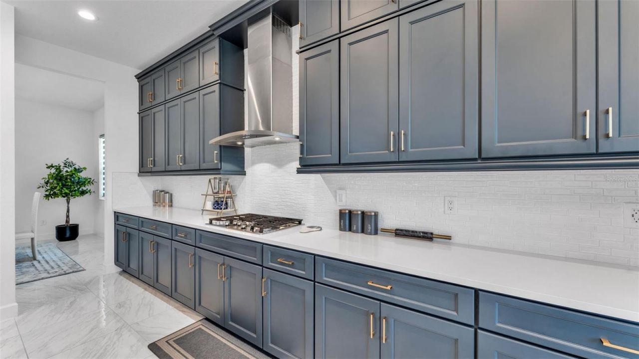 3405 Juniper Springs Street, Wesley Chapel, FL 33543 Photo