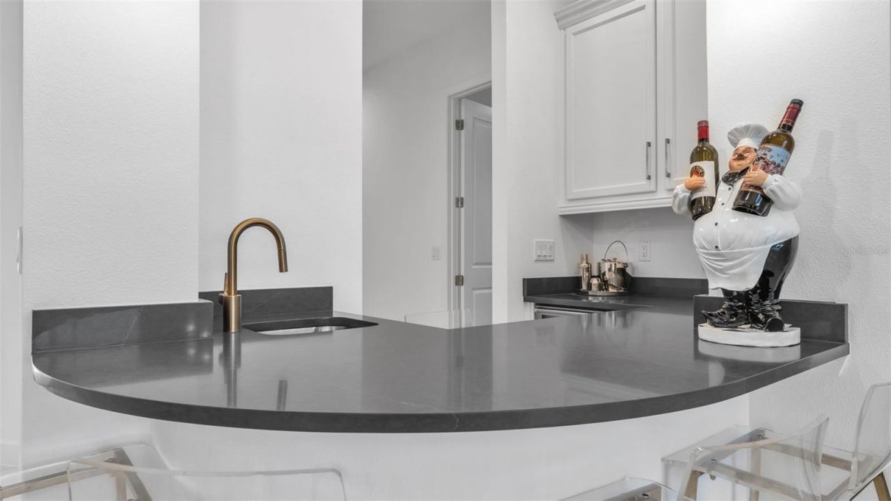 3405 Juniper Springs Street, Wesley Chapel, FL 33543 Photo