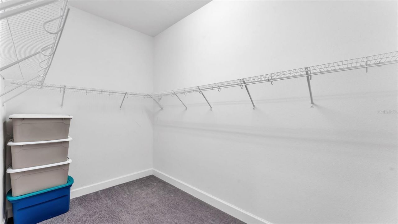 3405 Juniper Springs Street, Wesley Chapel, FL 33543 Photo