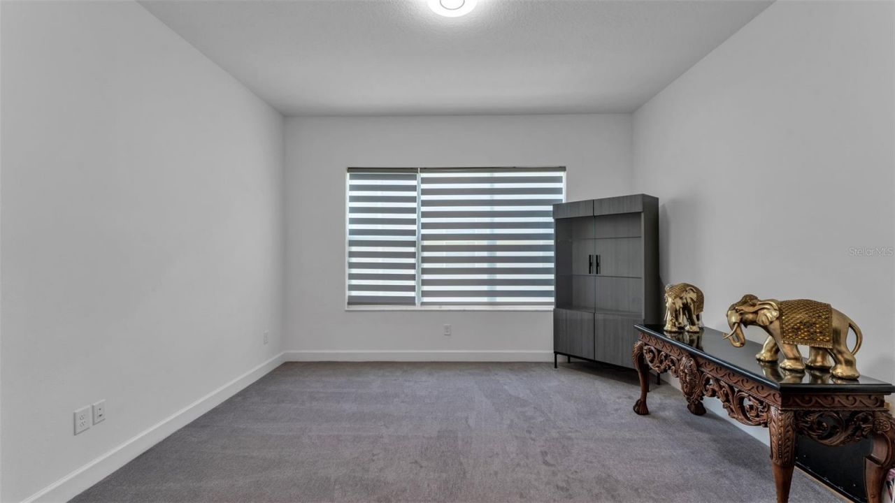 3405 Juniper Springs Street, Wesley Chapel, FL 33543 Photo