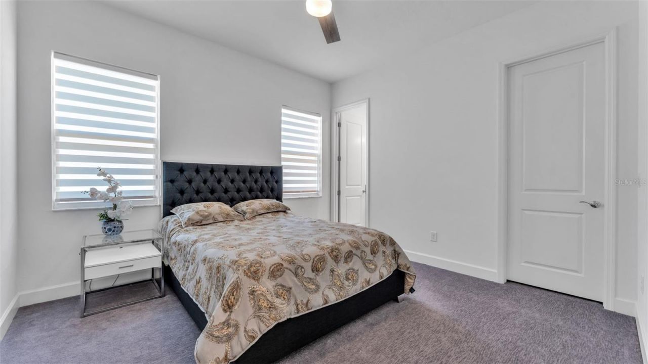 3405 Juniper Springs Street, Wesley Chapel, FL 33543 Photo