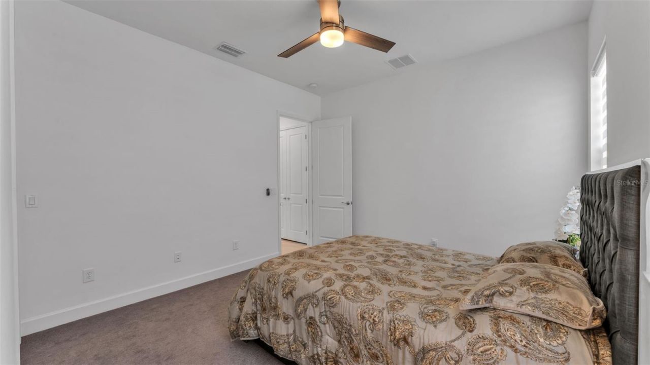 3405 Juniper Springs Street, Wesley Chapel, FL 33543 Photo