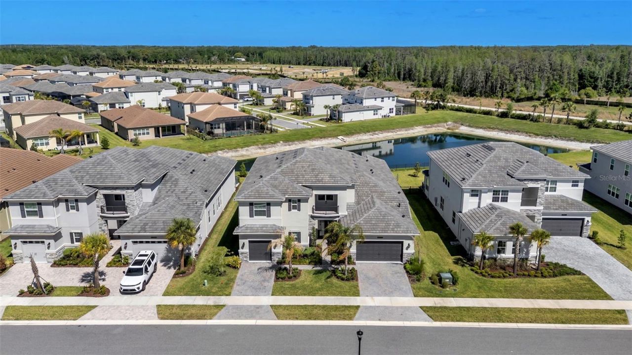 3405 Juniper Springs Street, Wesley Chapel, FL 33543 Photo