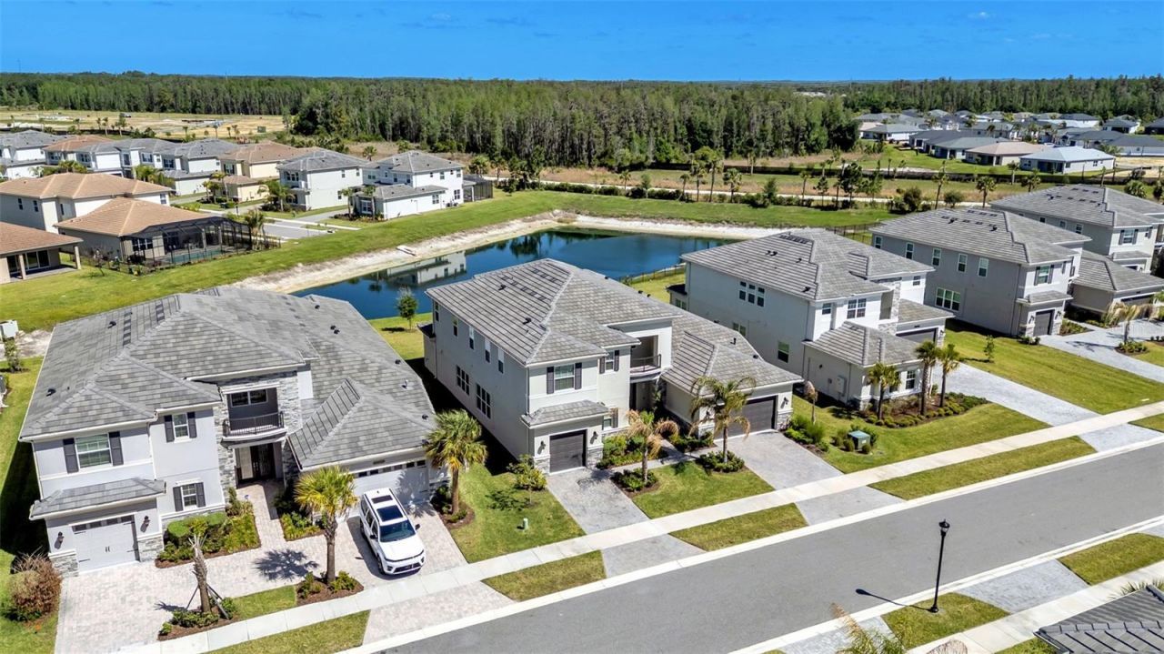 3405 Juniper Springs Street, Wesley Chapel, FL 33543 Photo