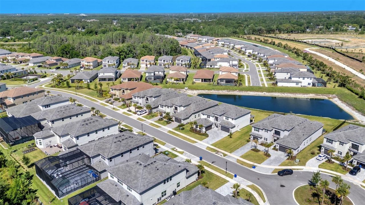 3405 Juniper Springs Street, Wesley Chapel, FL 33543 Photo