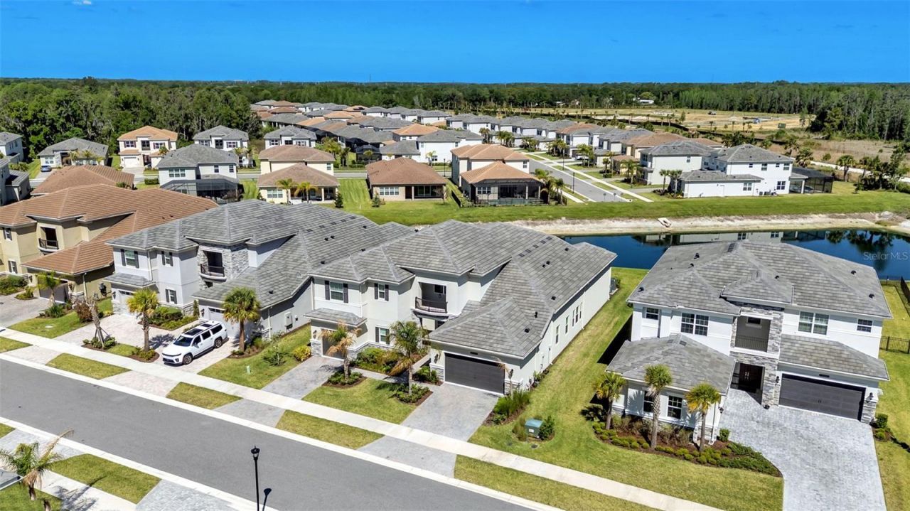 3405 Juniper Springs Street, Wesley Chapel, FL 33543 Photo