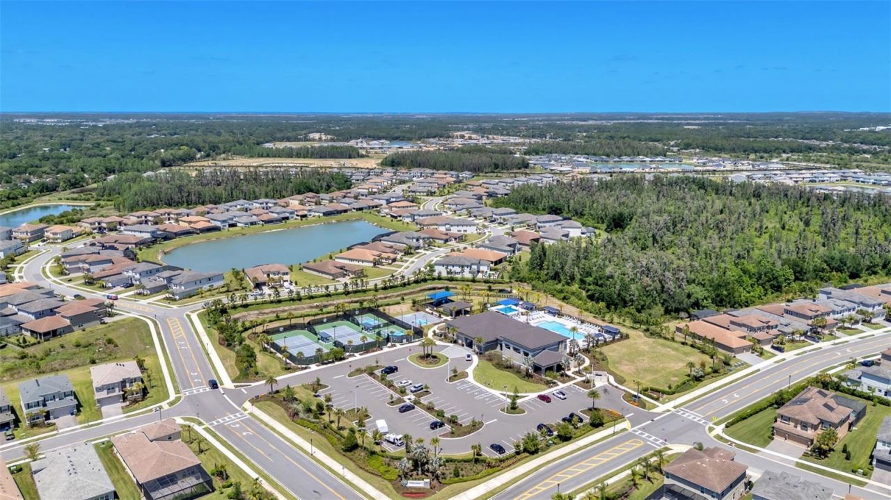 3405 Juniper Springs Street, Wesley Chapel, FL 33543 Photo