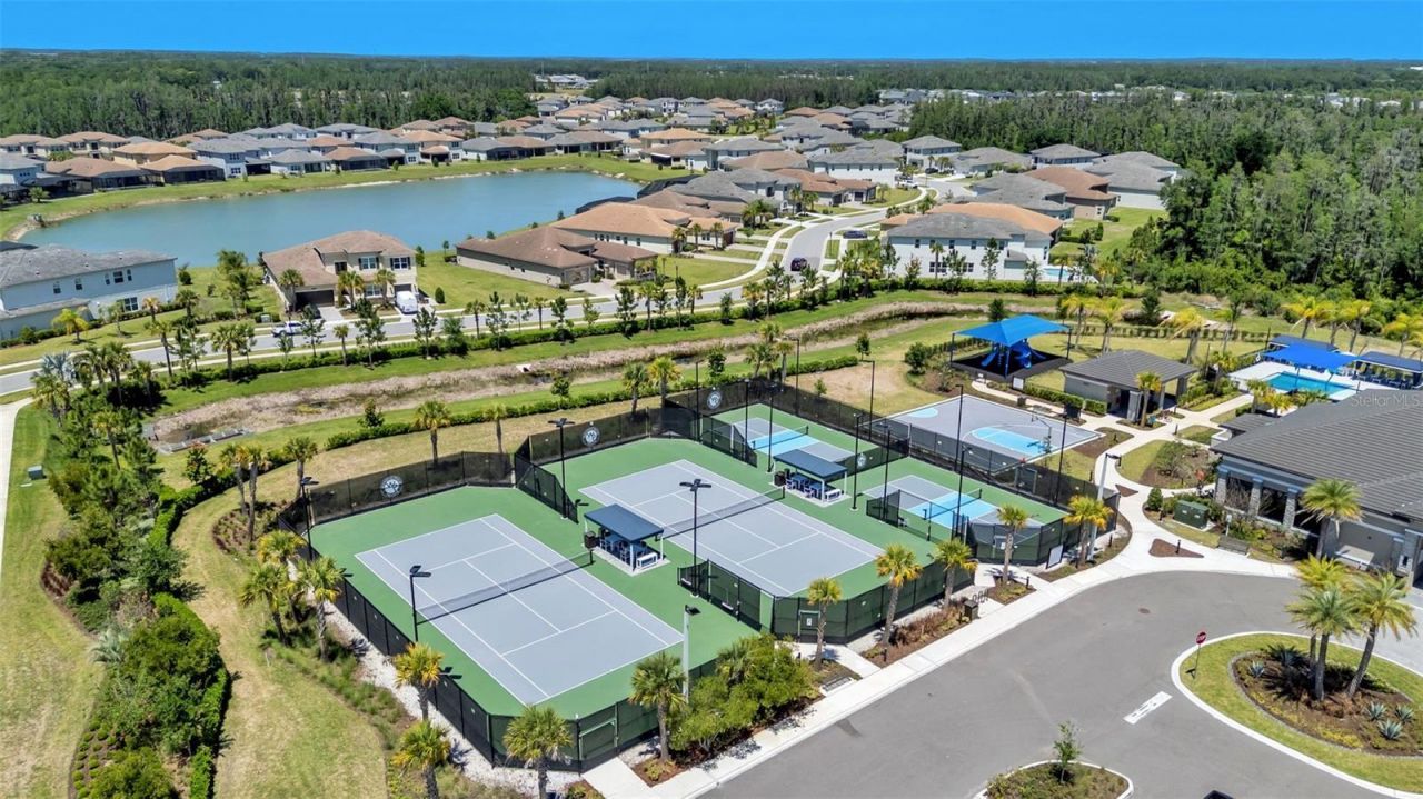 3405 Juniper Springs Street, Wesley Chapel, FL 33543 Photo