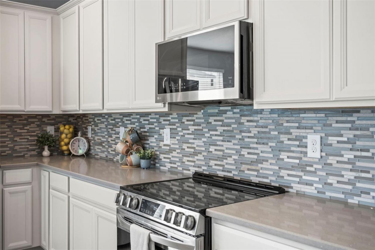 3261 Bethpage Loop, Mount Dora, FL 32757 Photo