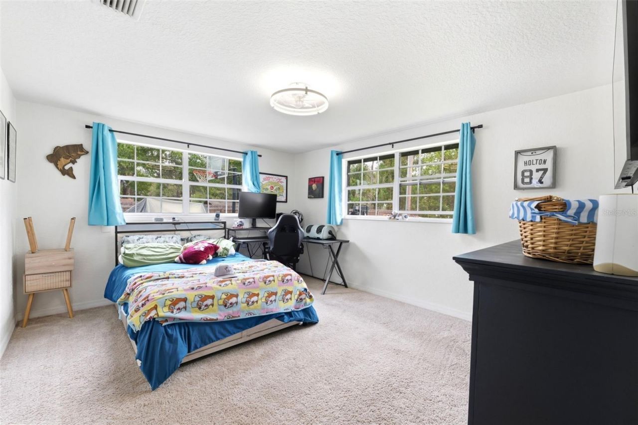 19003 Cedar Lane, Lutz, FL 33548 Photo