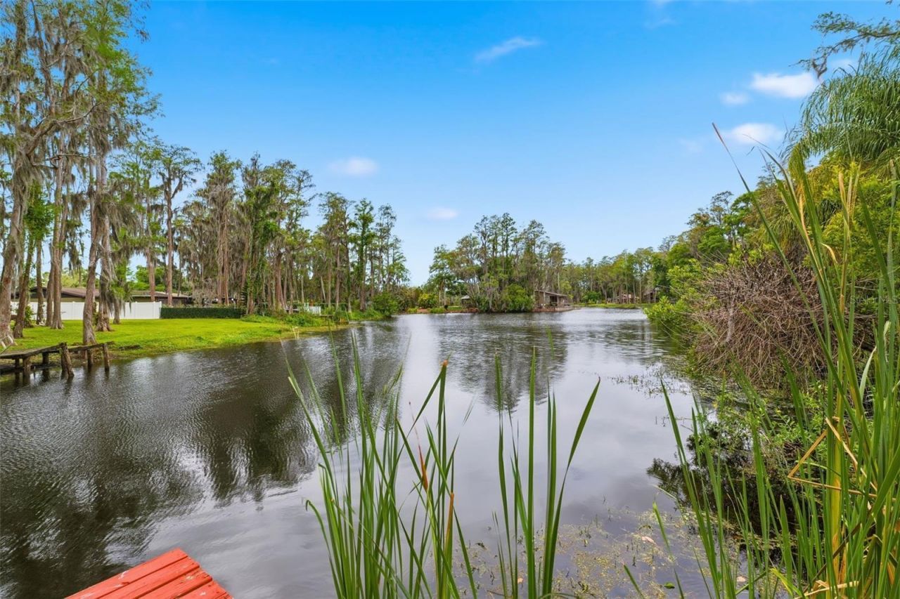 19003 Cedar Lane, Lutz, FL 33548 Photo