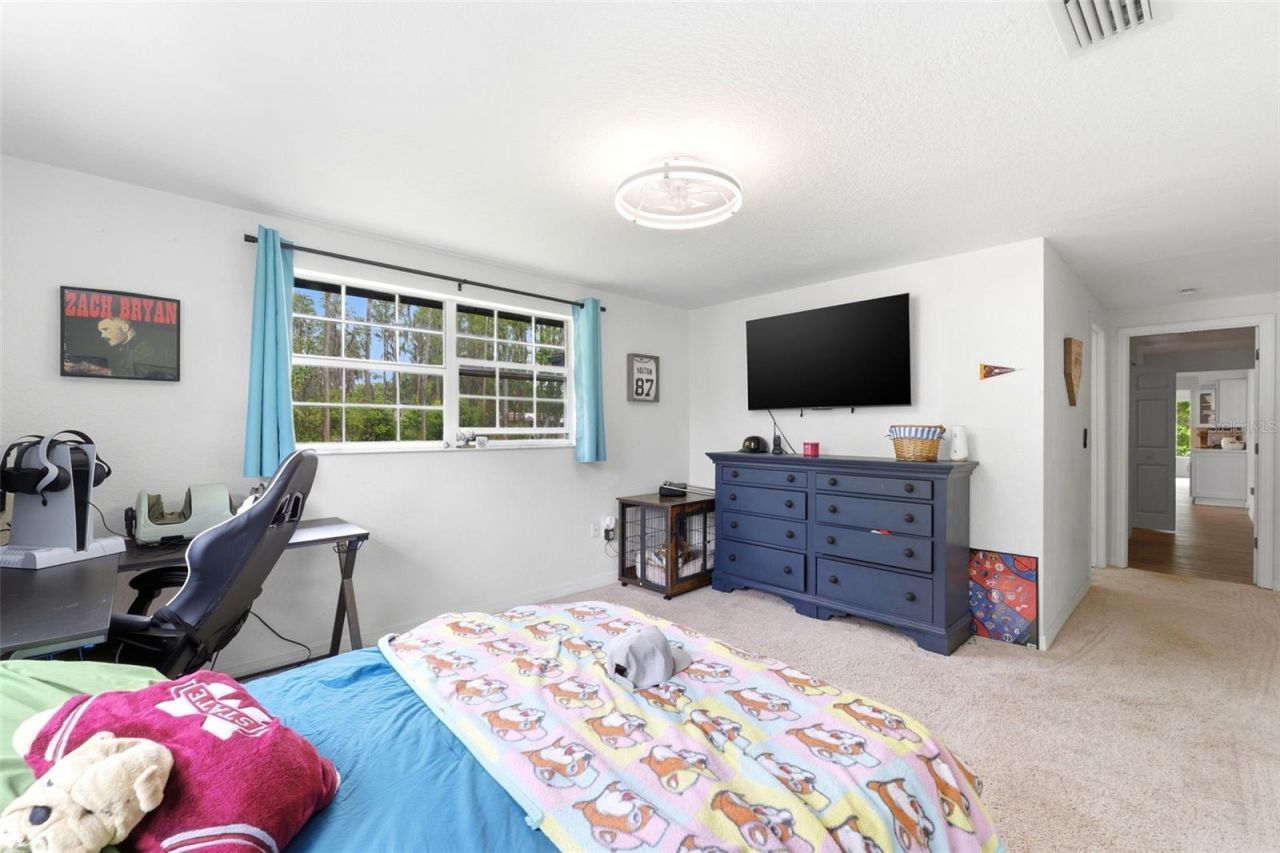 19003 Cedar Lane, Lutz, FL 33548 Photo