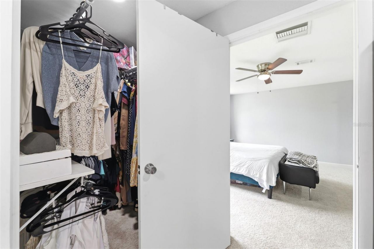 19003 Cedar Lane, Lutz, FL 33548 Photo