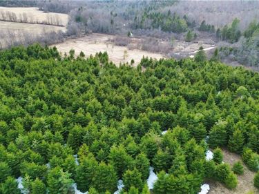 Lot 5 Burrell Road, Little Falls, NY 13365