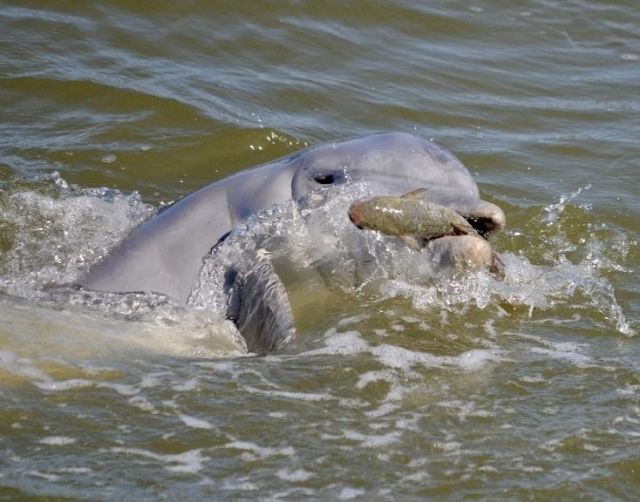 1635 Lands End Vlg, Unit 1635, Captiva, FL 33924 Photo