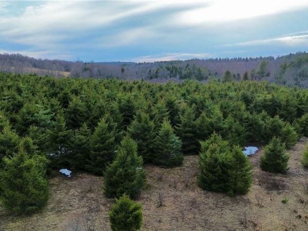 Lot 6 Burrell Road , Little Falls, NY 13365