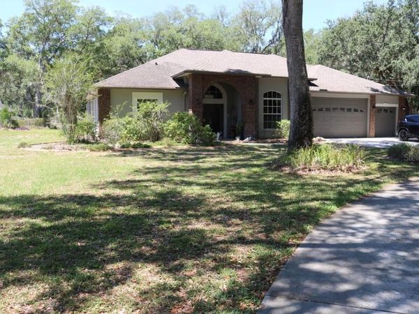 19150 LIVINGSTON AVENUE , LUTZ, FL 33559