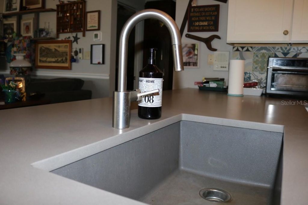 19150 Livingston Avenue, Lutz, FL 33559 Photo