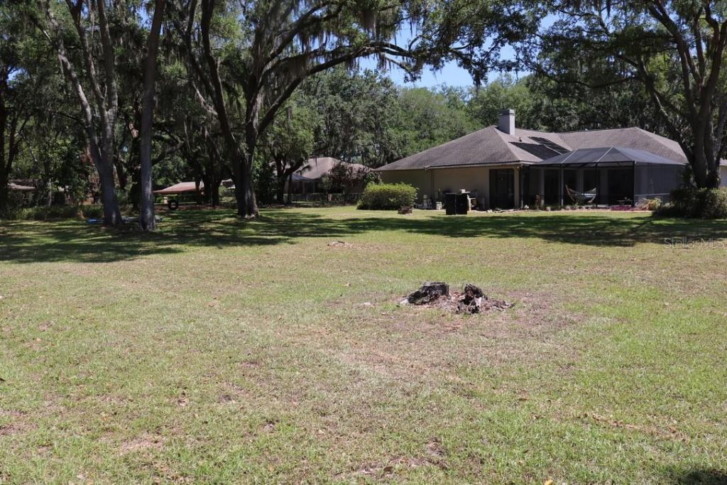 19150 Livingston Avenue, Lutz, FL 33559 Photo