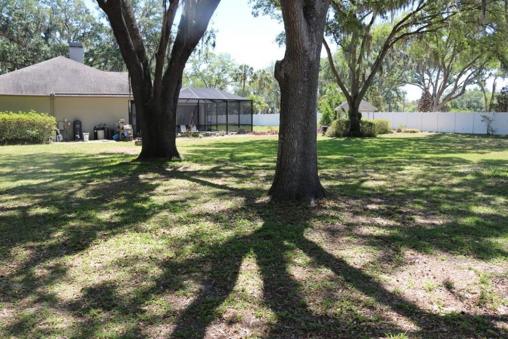 19150 Livingston Avenue, Lutz, FL 33559 Photo