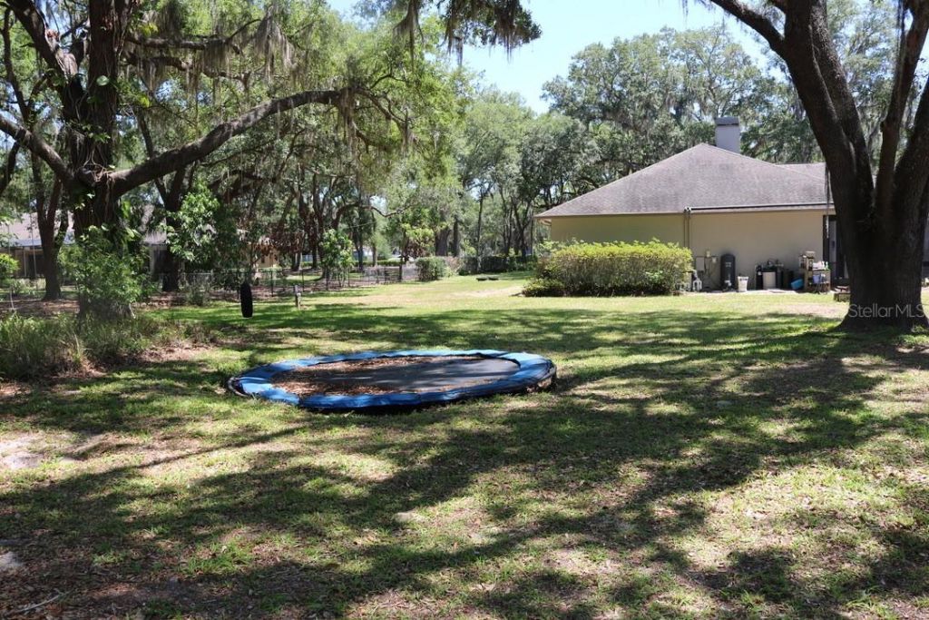 19150 Livingston Avenue, Lutz, FL 33559 Photo