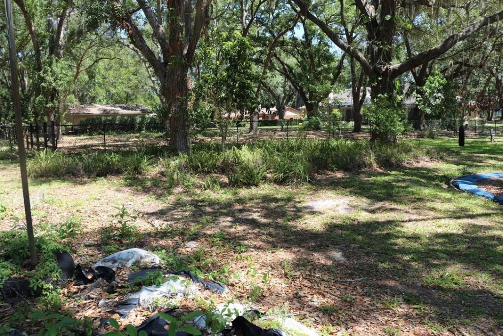 19150 Livingston Avenue, Lutz, FL 33559 Photo