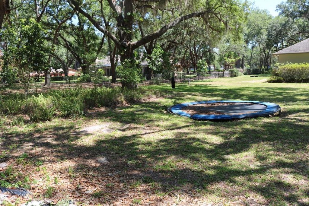 19150 Livingston Avenue, Lutz, FL 33559 Photo