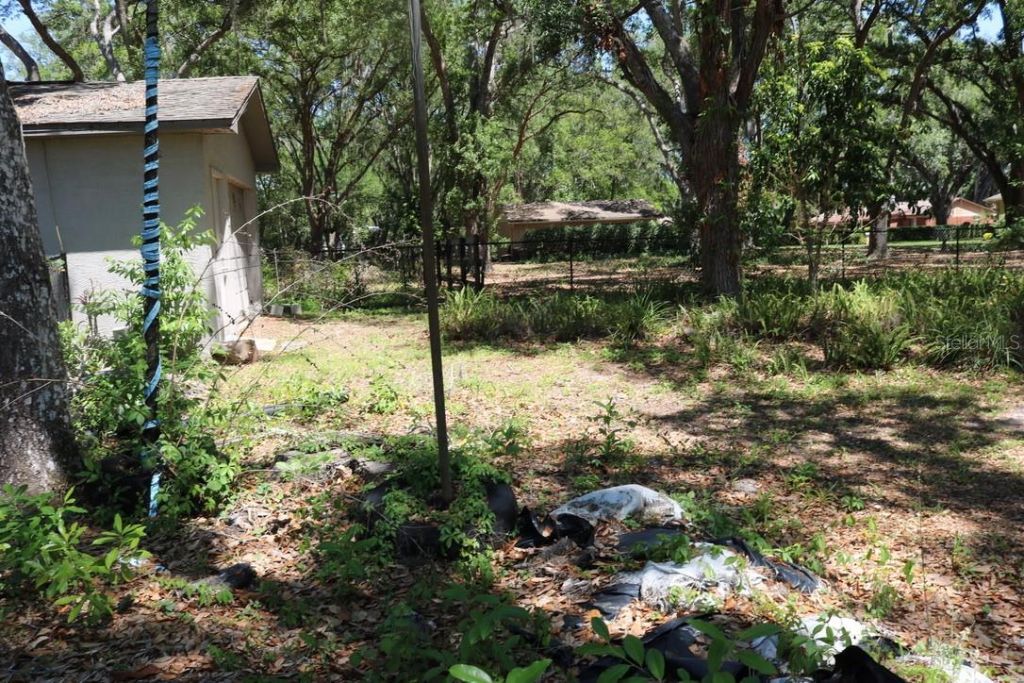 19150 Livingston Avenue, Lutz, FL 33559 Photo