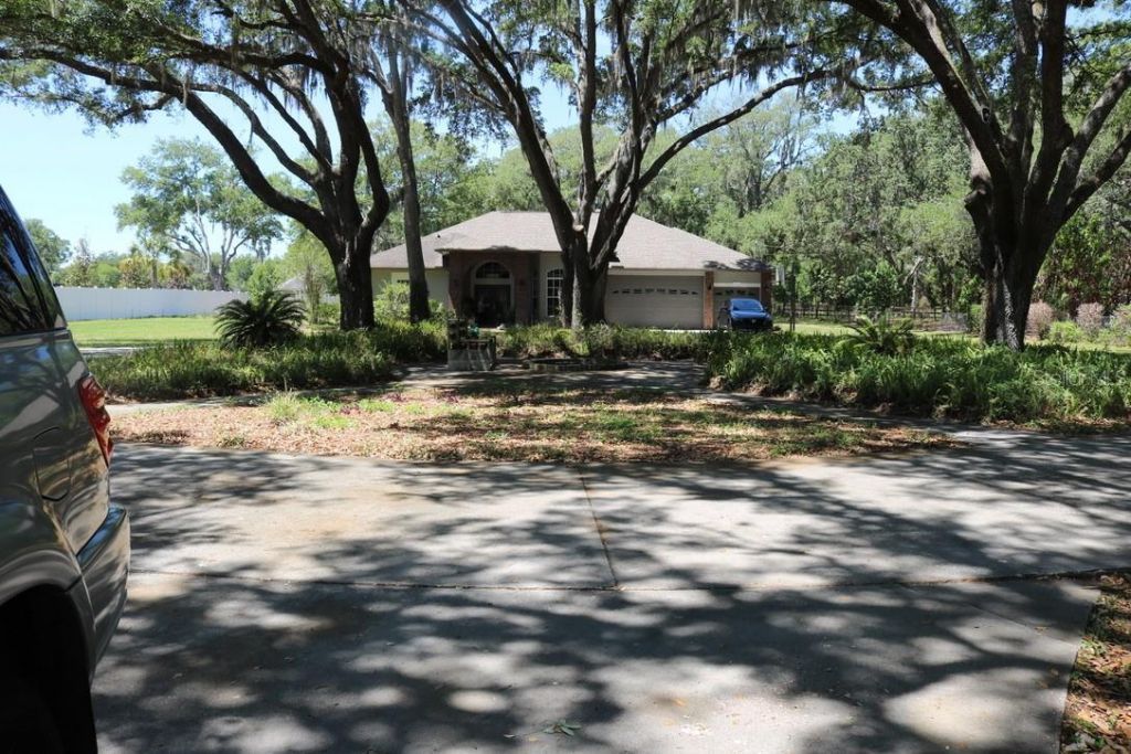 19150 Livingston Avenue, Lutz, FL 33559 Photo