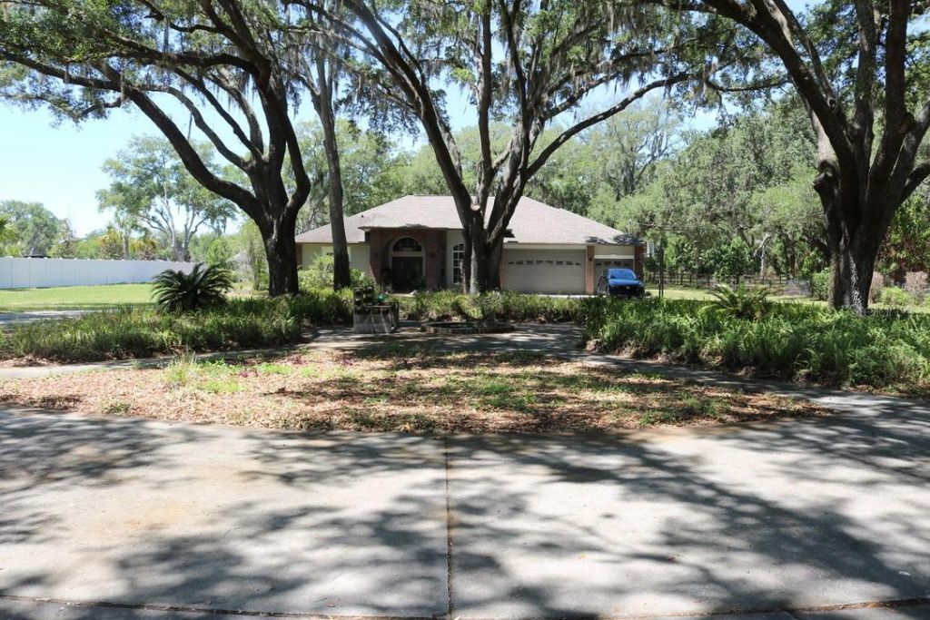 19150 Livingston Avenue, Lutz, FL 33559 Photo