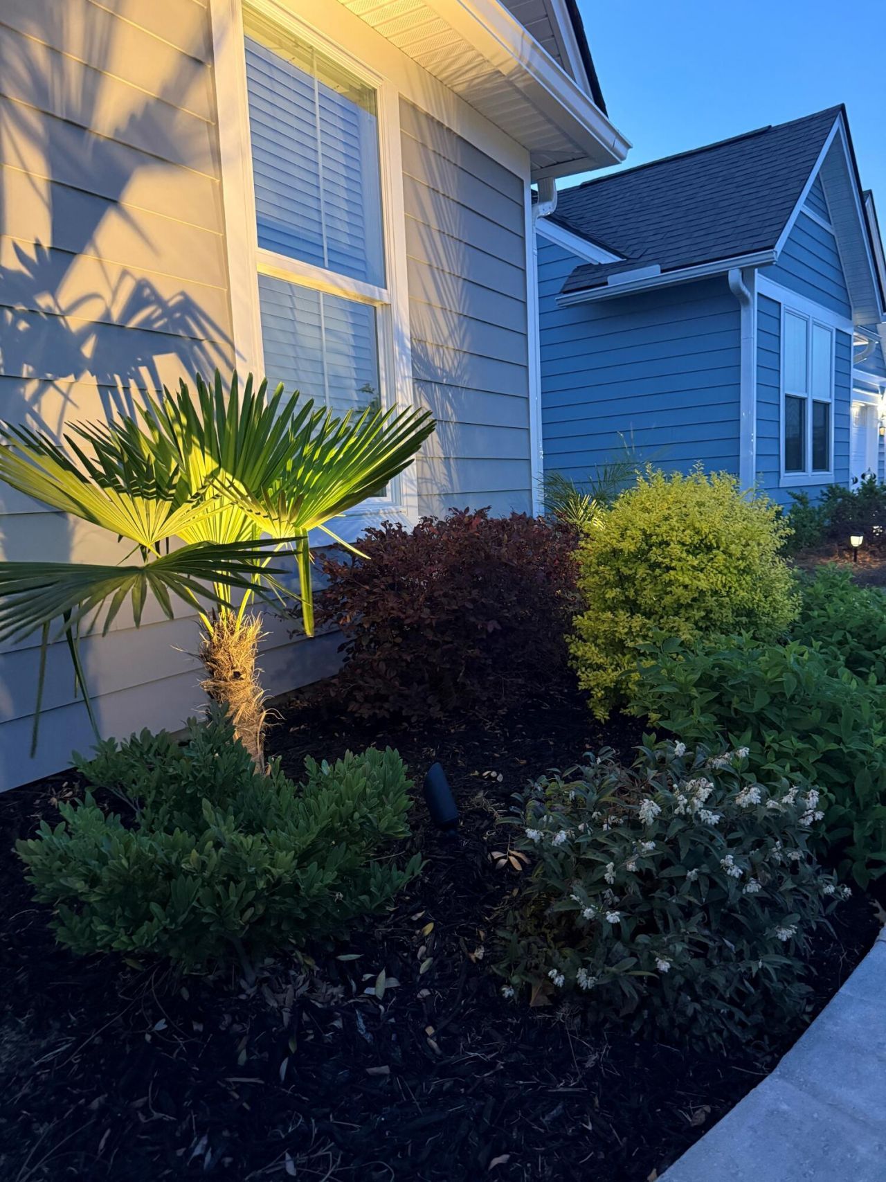 611 Coral Bells Lane Photo 40