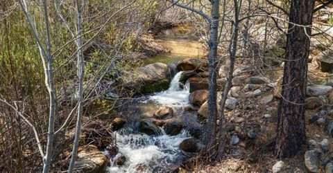 102 W Willis Lane, Reno, NV 89511 Photo