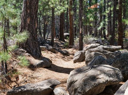 102 W Willis Lane, Reno, NV 89511 Photo