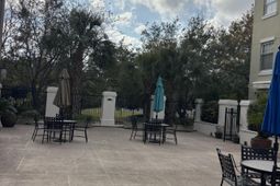 498 Albemarle Road photo 4