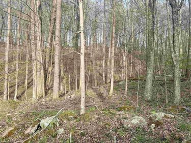 Lot 23 & 23A Serence Drive, Grafton, WV 26354