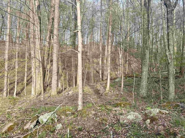 Lot 23 & 23A Serence Drive, Grafton, WV 26354