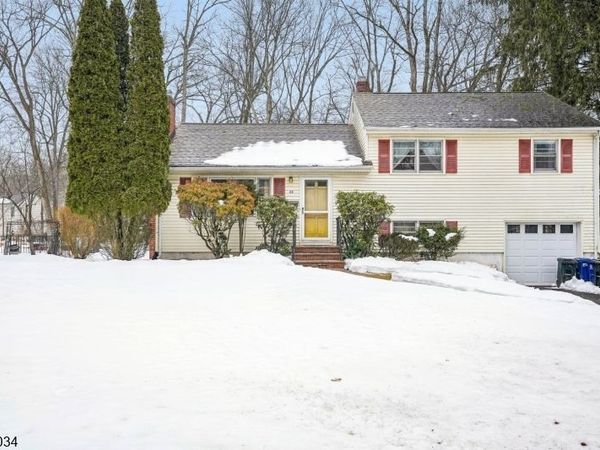 22 Springbrook Rd, Livingston, NJ 07039